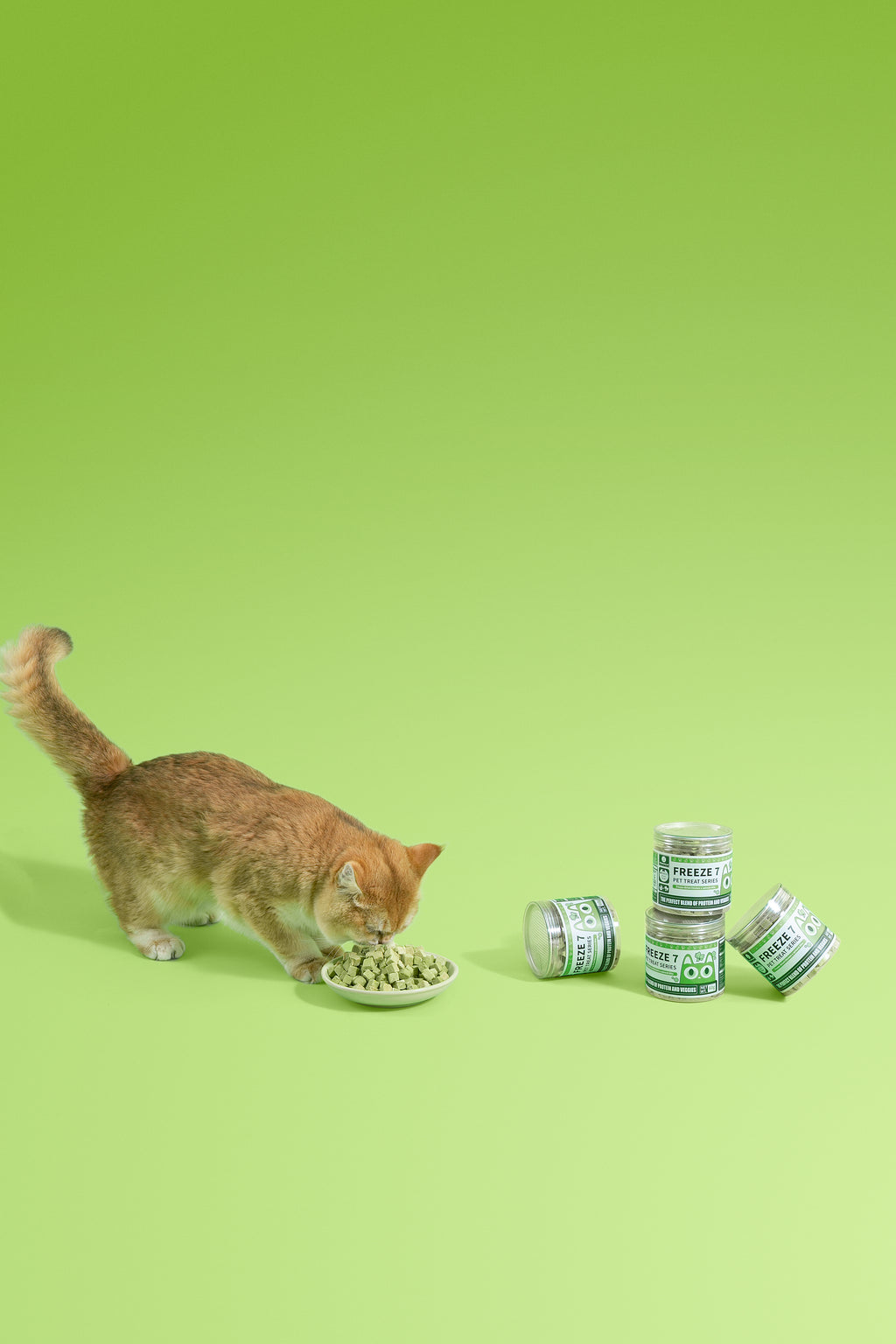 Freeze-Dried Chicken × Spinach Bite (Cat Treat)