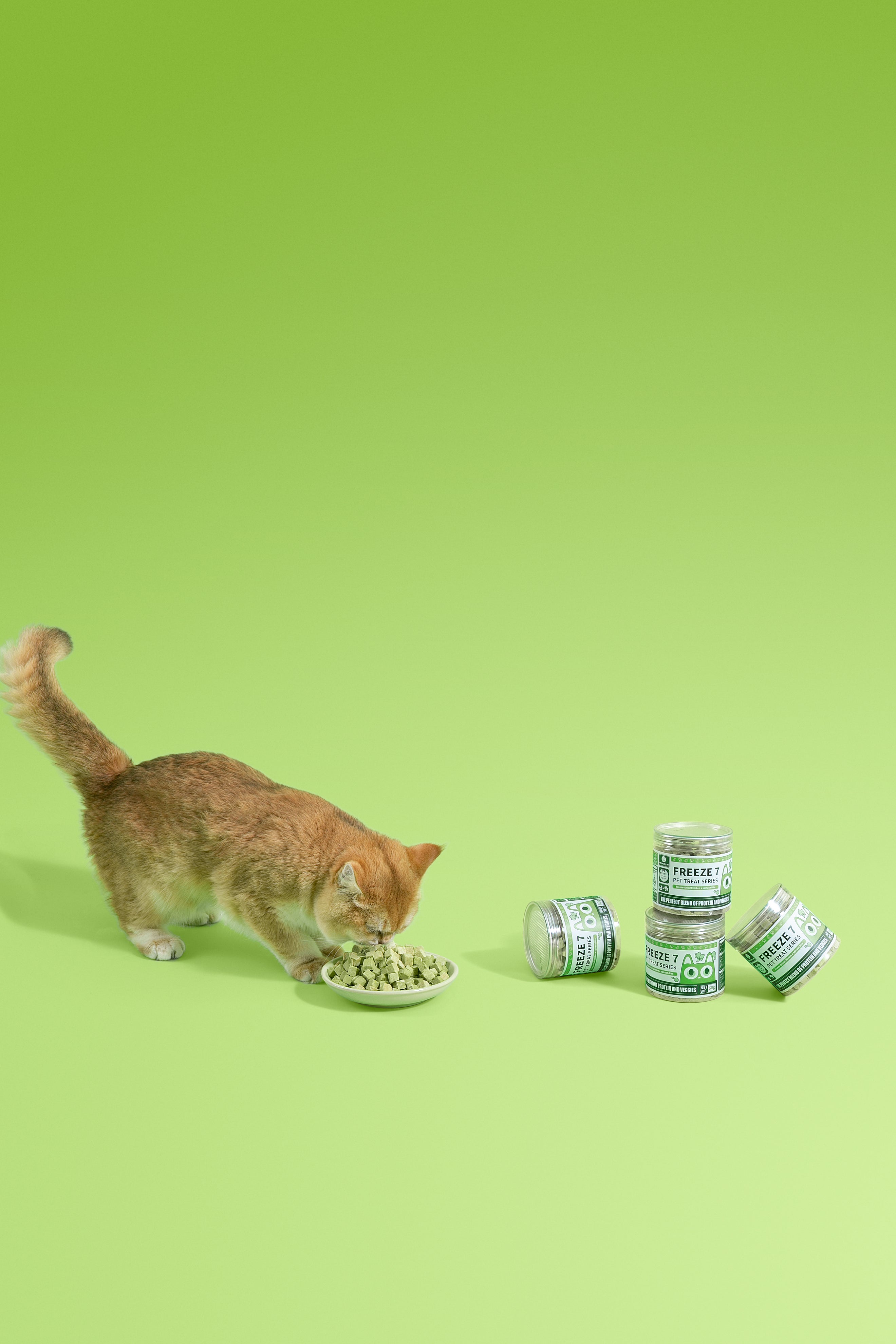 Freeze-Dried Chicken × Spinach Bite (Cat Treat)