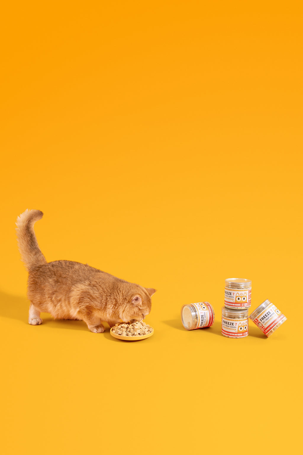 Freeze-Dried Chicken × Pumpkin Bite (Cat Treat)