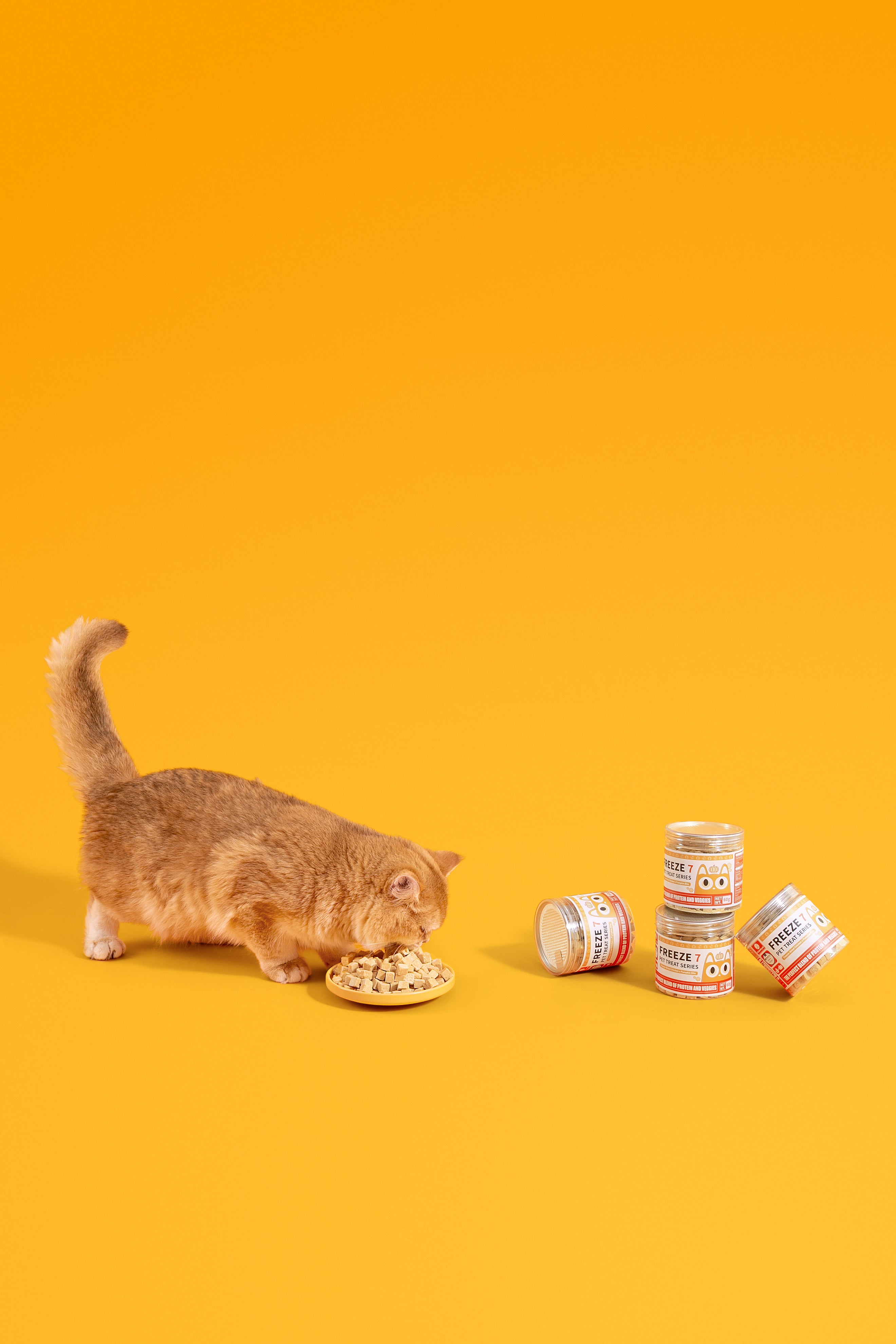 Freeze-Dried Chicken × Pumpkin Bite (Cat Treat)