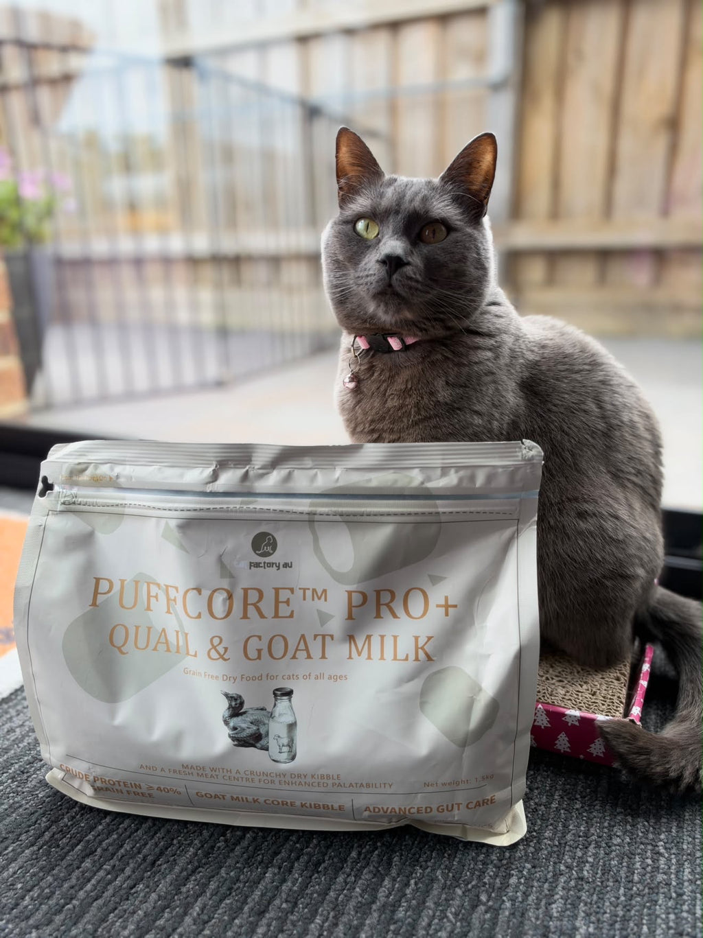 Center-Filled Cat Dry Food | Quail & Goat Milk | PUFFCORE™ PRO+