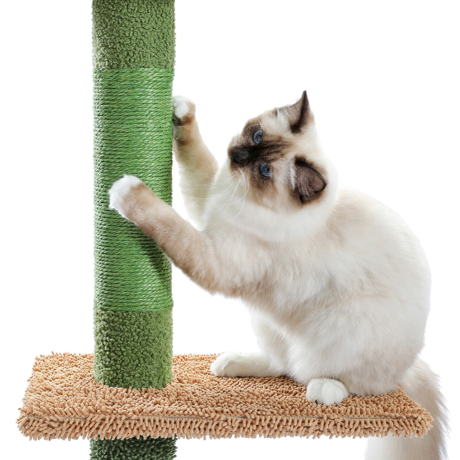 Cat Tree/Tower Scratching Post Scratcher Condo House Ceiling High Green