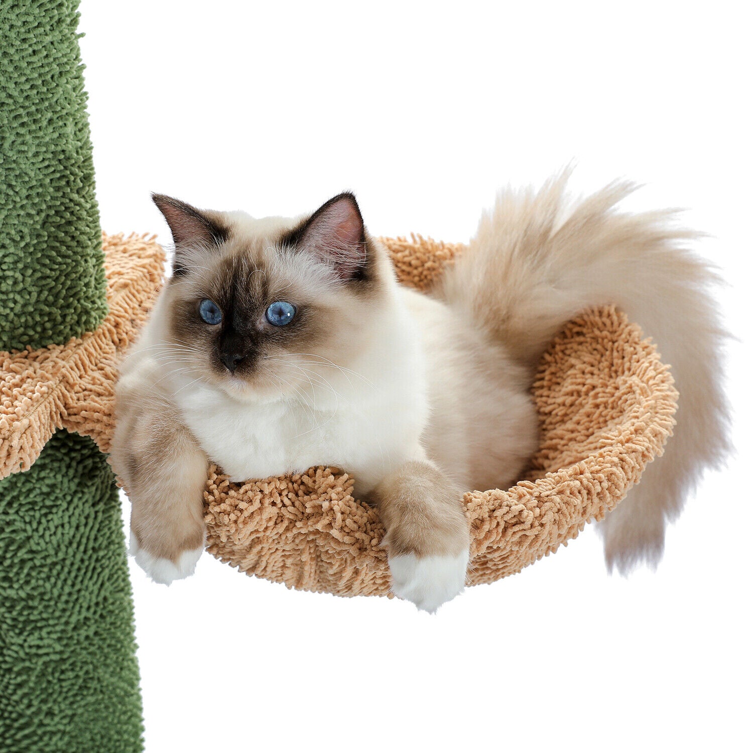 Cat Tree/Tower Scratching Post Scratcher Condo House Ceiling High Green
