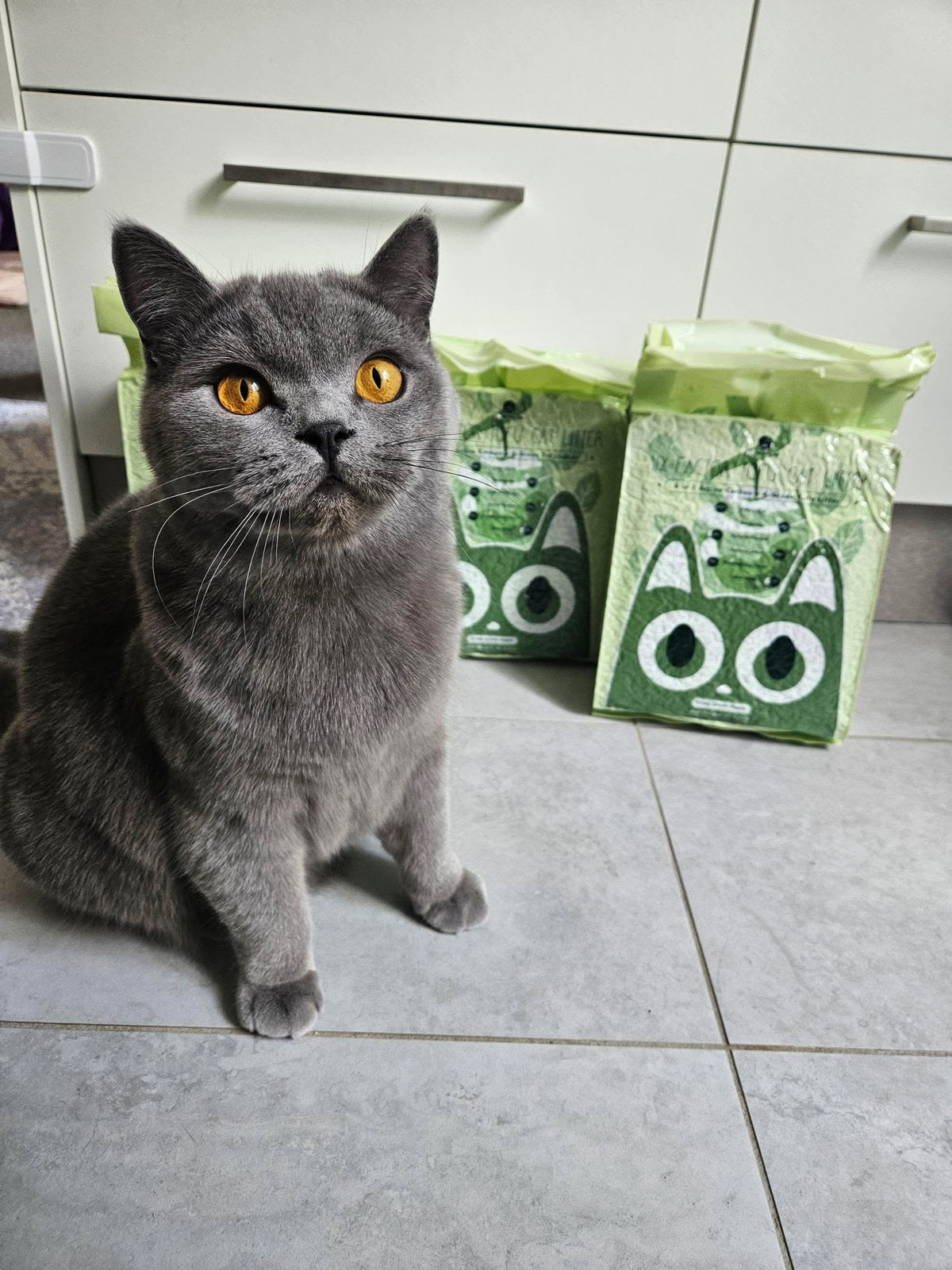 [Cat Factory AU] Six-Factor Tofu Cat Litter - Crisp Green Apple
