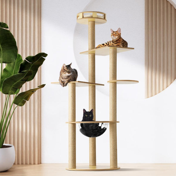 Products – Page 3 – Cat Factory Au