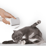 Hair Deshedding Brush Pet Grooming - Cat Factory Au