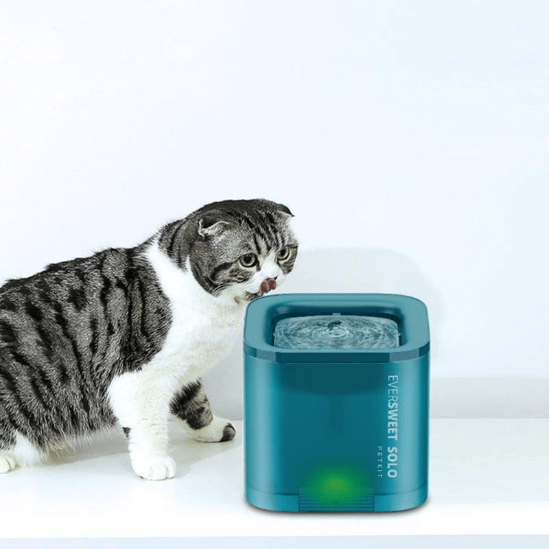 PETKIT EVERSWEET SOLO Green Pet Water Fountain - Cat Factory Au