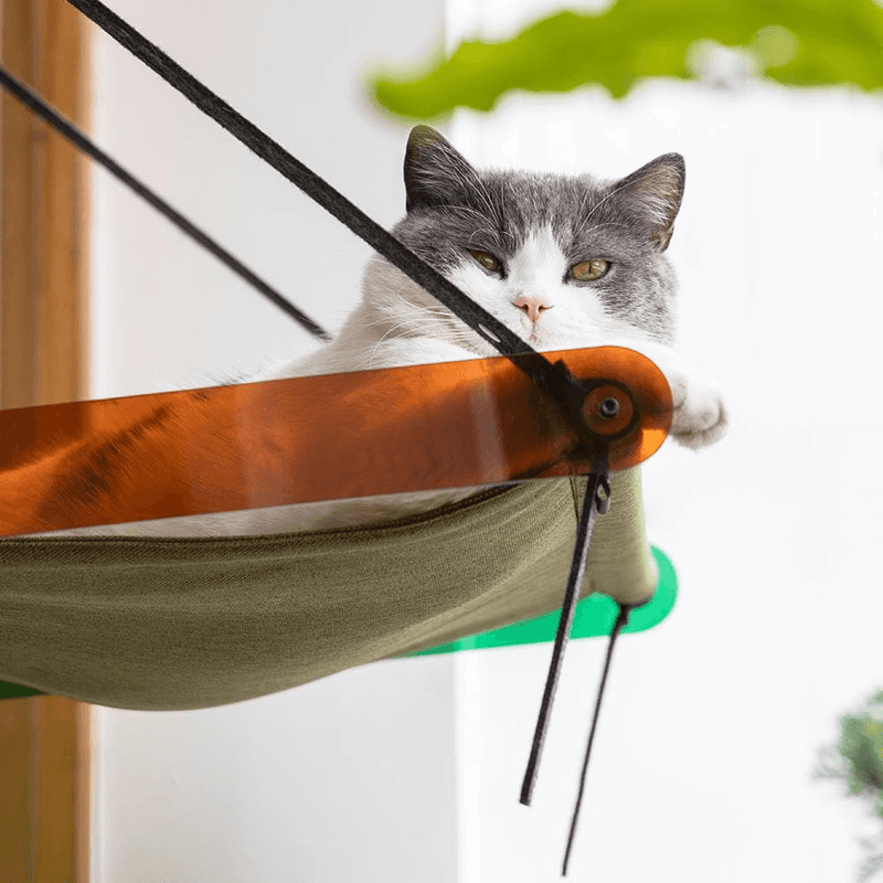 PIDAN Cat Air and Folding Bed - Cat Factory Au