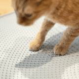PIDAN Grey Cat Litter Mat - Cat Factory Au