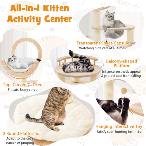 146cm Cat Tree 4-in-1 Large Wooden Cat Tower with Capsule Nest