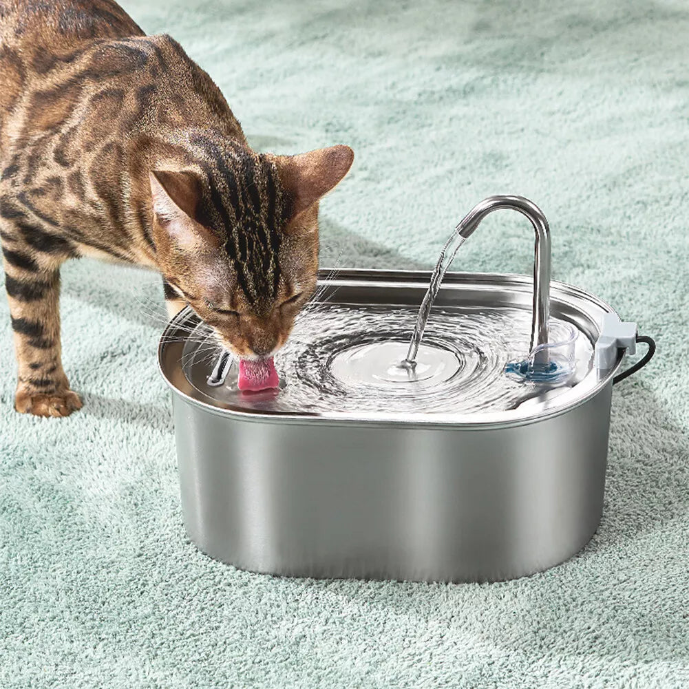 304 Stainless Steel Water Fountain Pet Drinking Dispenser with Filter